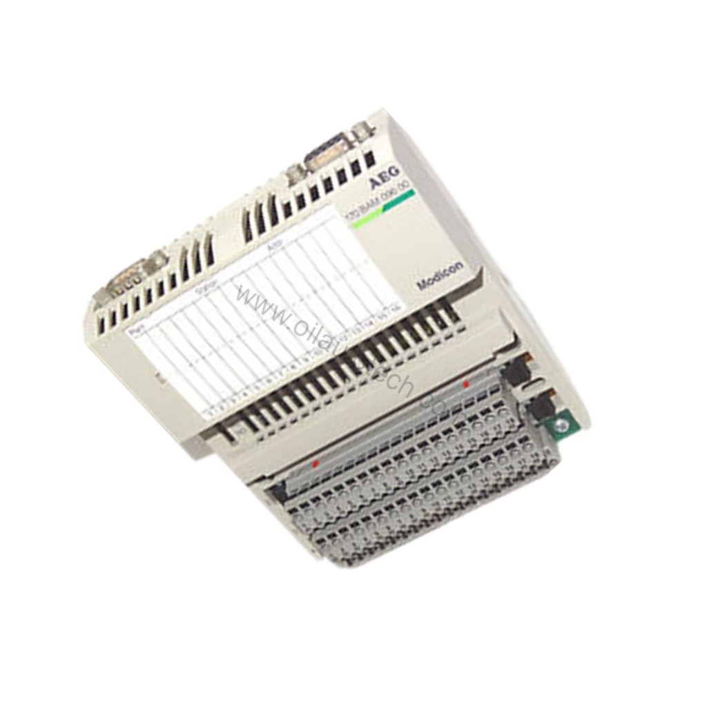 170BAM09600 | Schneider Electric Modicon Momentum I/O Module