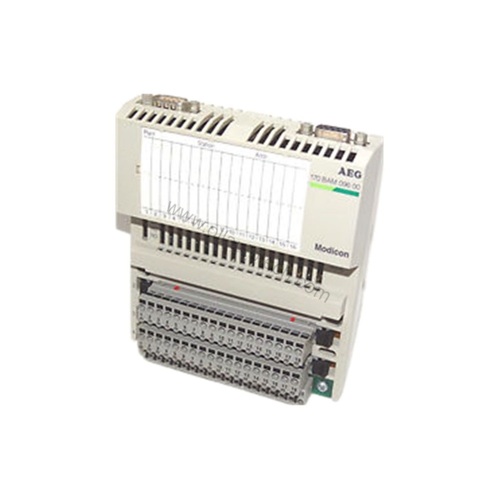 Figure 2: Technical layout and connection details for the Schneider Electric 170BAM09600 industrial automation component.