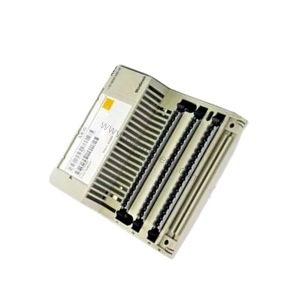 170BDM09000 | Schneider Electric Modicon Momentum Discrete I/O Module