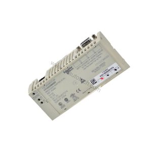 171CCC98020 | Schneider Electric Modicon Momentum Processor Adaptor Module