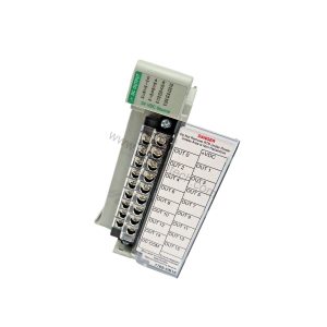 1769-OB16 | Allen-Bradley 16-Point 24VDC Output Module